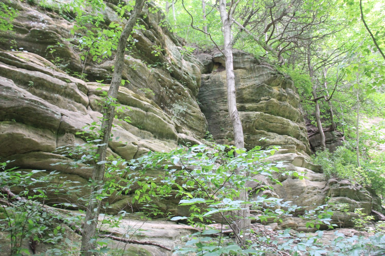 Starved Rock 